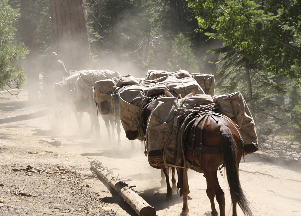 乌盟往事：⑨“走东口”，老家从坝上来
