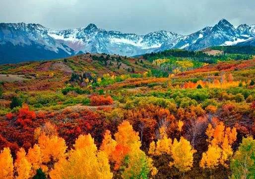 美国各州gdp排名及州府,美国50大城市GDP排名2020年