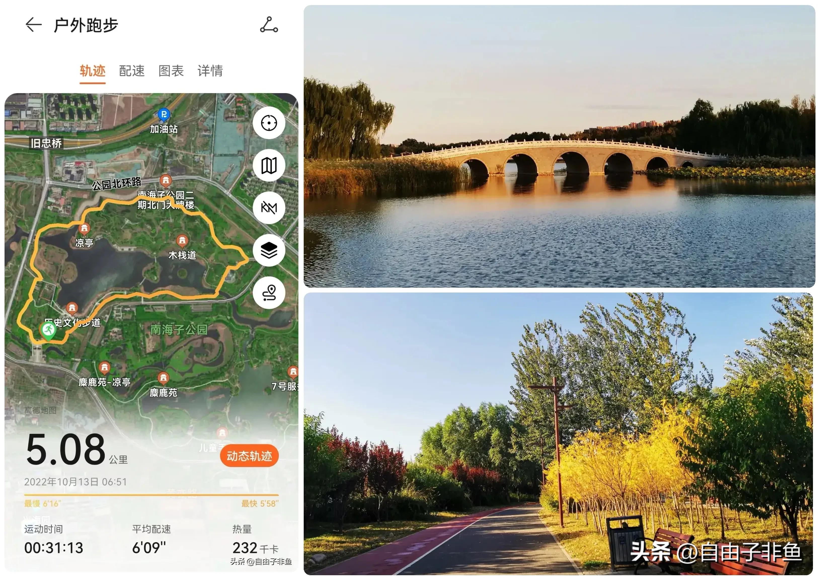 北京植物园跑步路线,北京适合跑步的地方