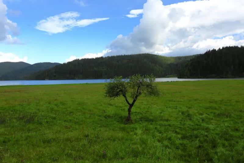 214自驾香格里拉,香格里拉到西藏自驾