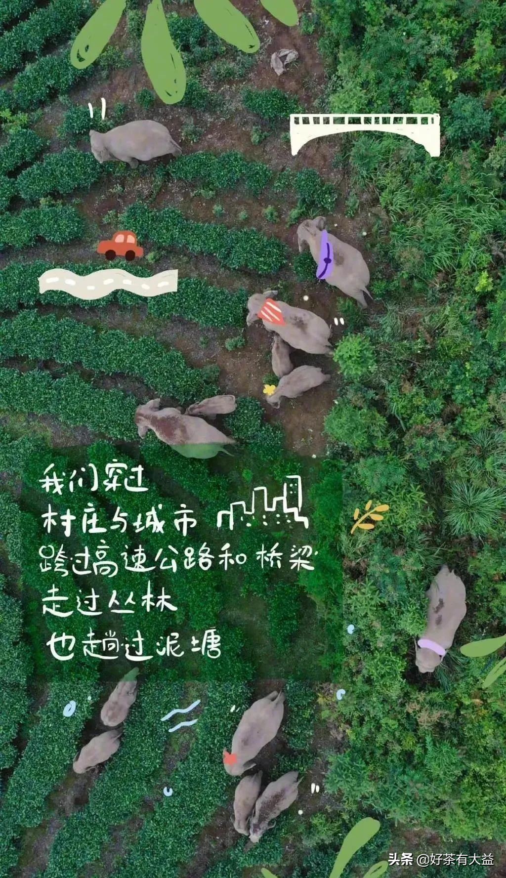 茶语春秋中国茶文化讲了什么,茶话春秋