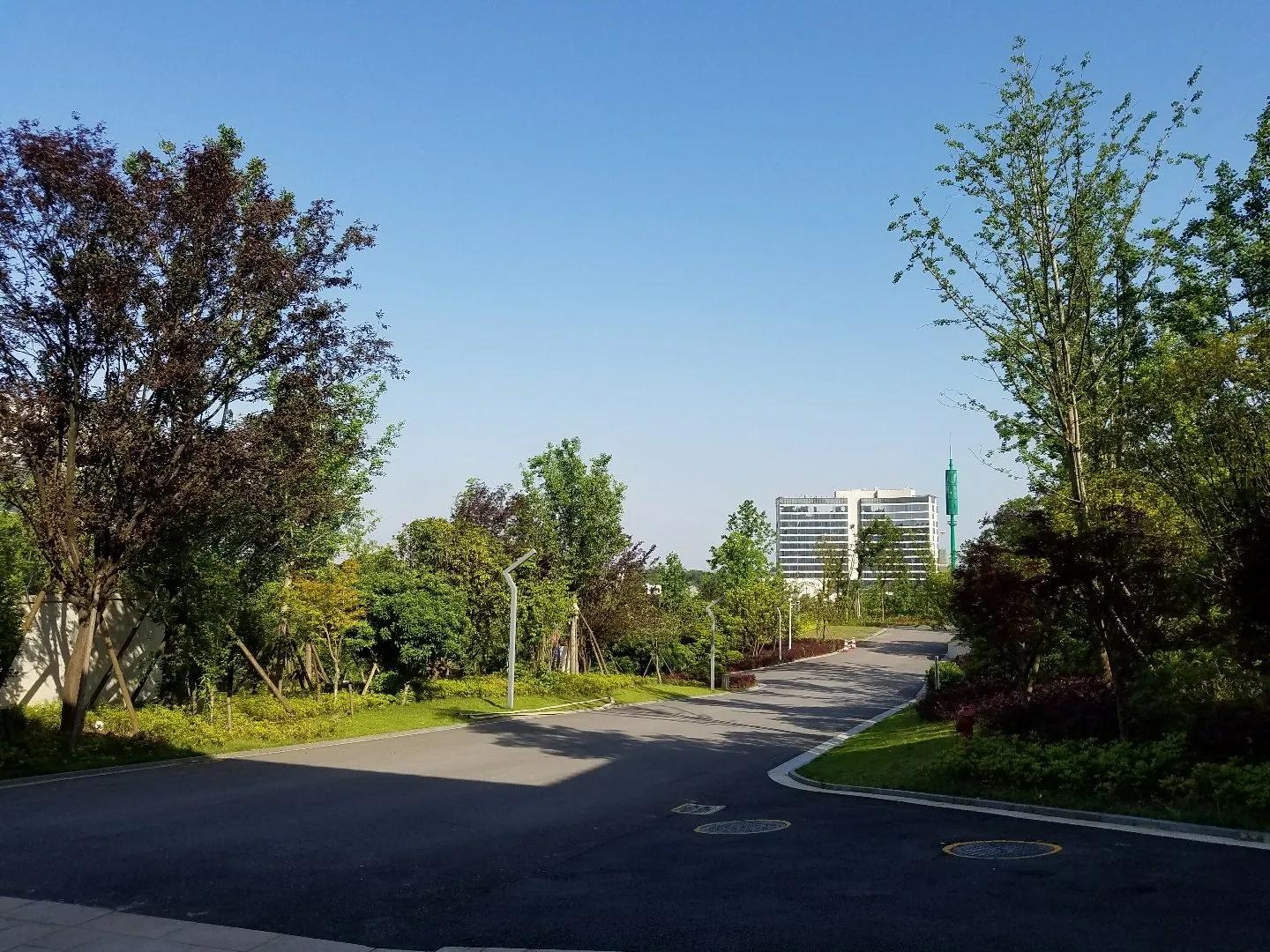 长沙市岳麓区坪塘街道规划,长沙市岳麓区坪塘街道白泉中学