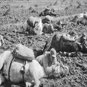 日军*行暴**照片，女子脱衣服让日本人拍摄被*辱侮**致死，惨死野外4