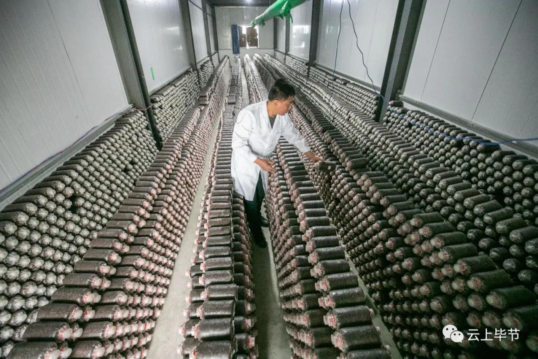 毕节未来几年的发展方向,毕节未来五年拆迁计划