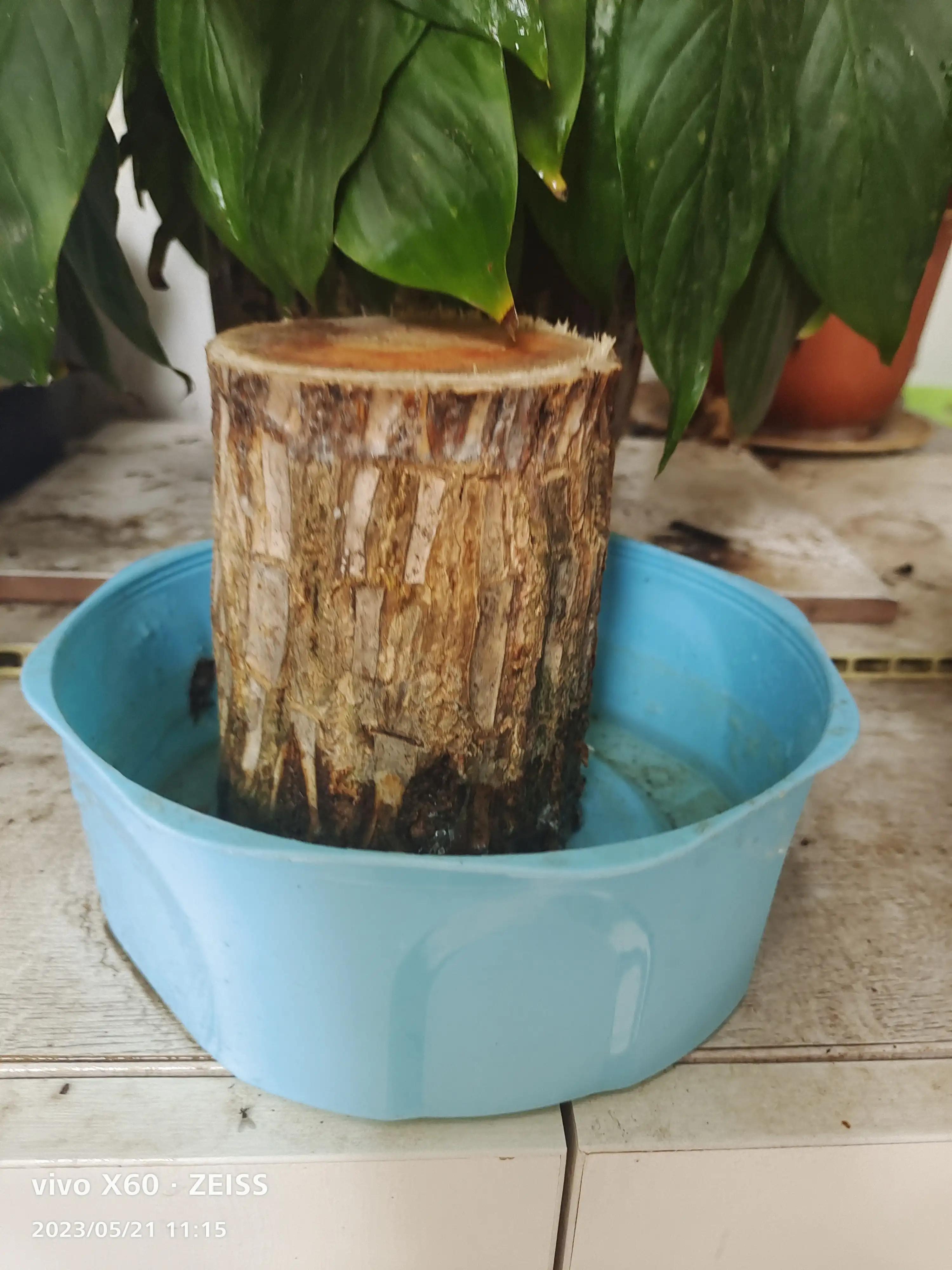 冤枉老公道歉怎么说,冤枉老公了又没勇气道歉怎么办