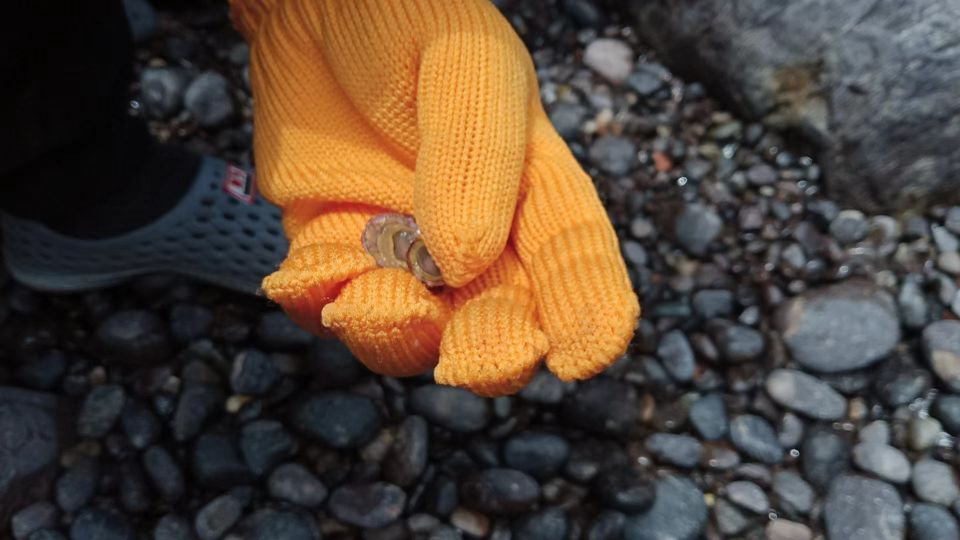 浙江境内蓝色大海,藏在这个与福建交界的小县城,不用坐船就能到