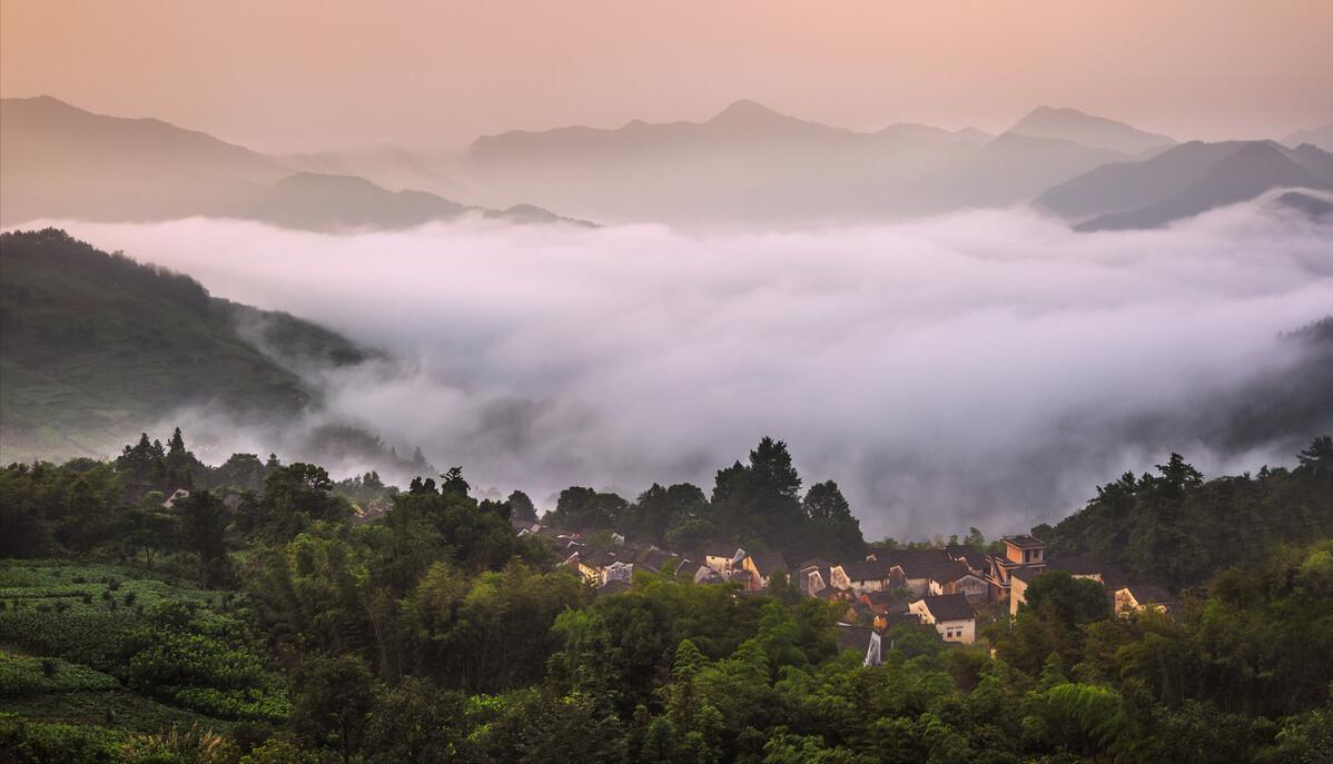 农村种梨销售,农村种梨怎么赚钱