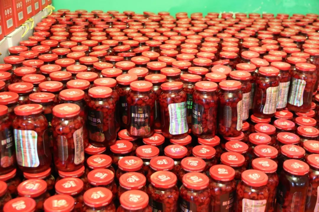 小树莓野果,小树莓引领特色种植致富路