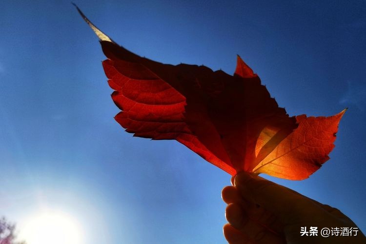 又入冬了还有遗憾吗,又到了瑟瑟发抖的季节