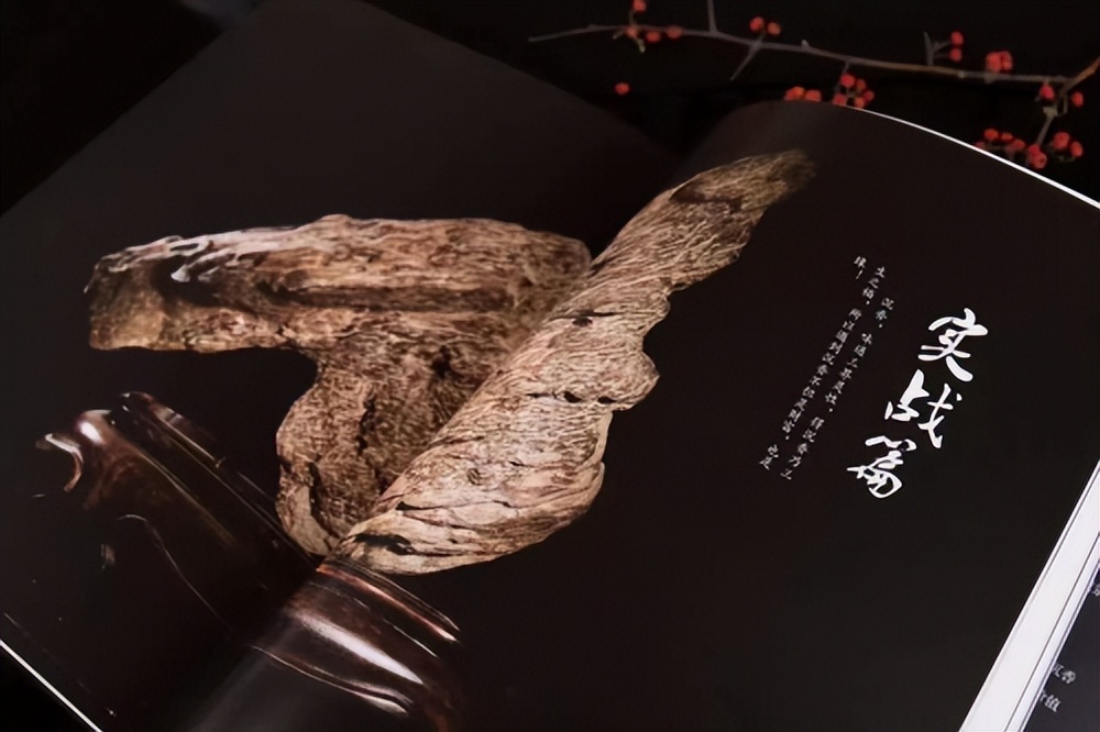 百万天价翡翠原石,天价翡翠鉴宝