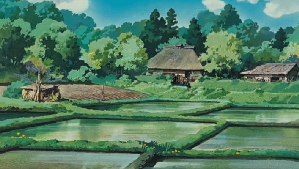 宫崎骏龙猫原型是什么动物,宫崎骏龙猫原型什么颜色