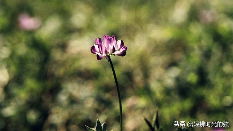 中国著名诗词大全集,诗词十大最美巅峰之作