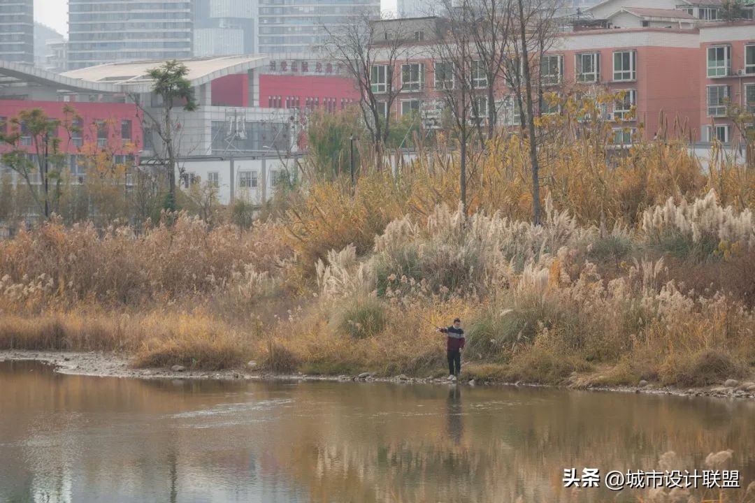 成都值得一游的公园,夏季成都宝藏公园