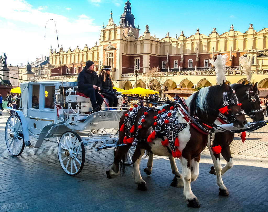 你不知道的国家冷知识摩洛哥,波兰这个国家怎么样