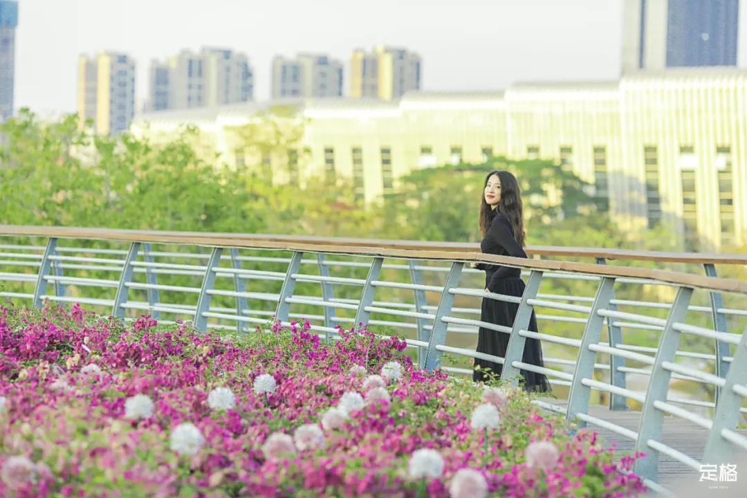 深圳户外公园最大滑滑梯,深圳滑滑梯免费南山公园附近