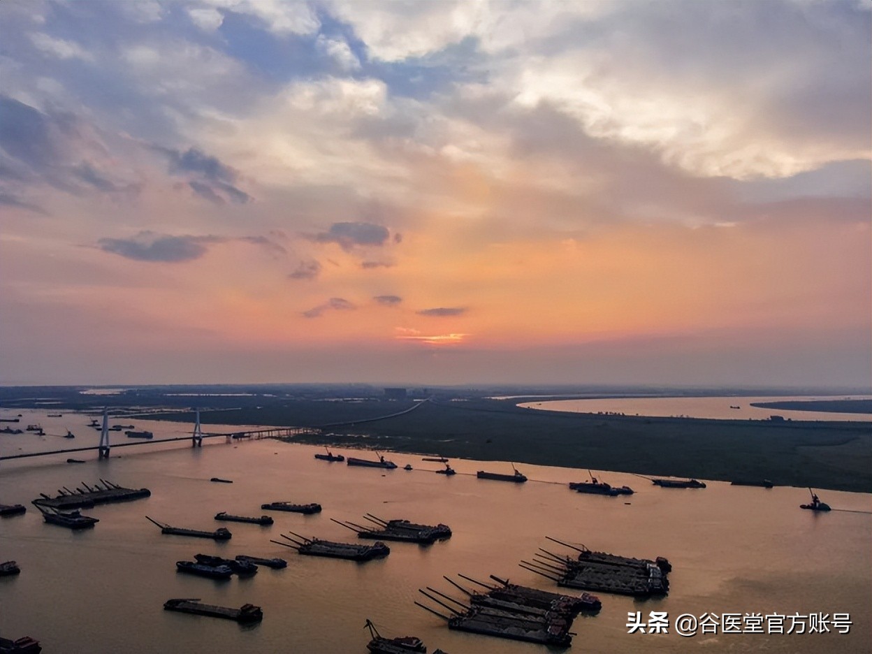 湖南省名中医曾洪伟,曾洪伟湖南名老中医是真是假