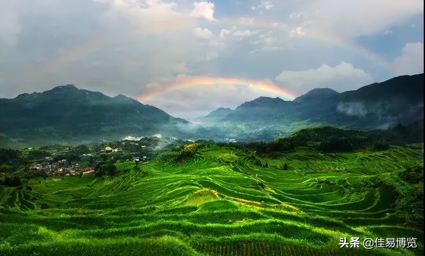 迟子建一坛猪油在线阅读,迟子建一罐猪油讲的是什么