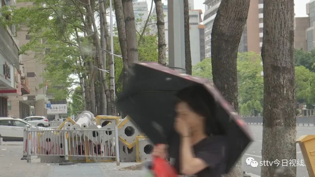 木棉花絮有害吗,木棉飘絮过敏风险地图