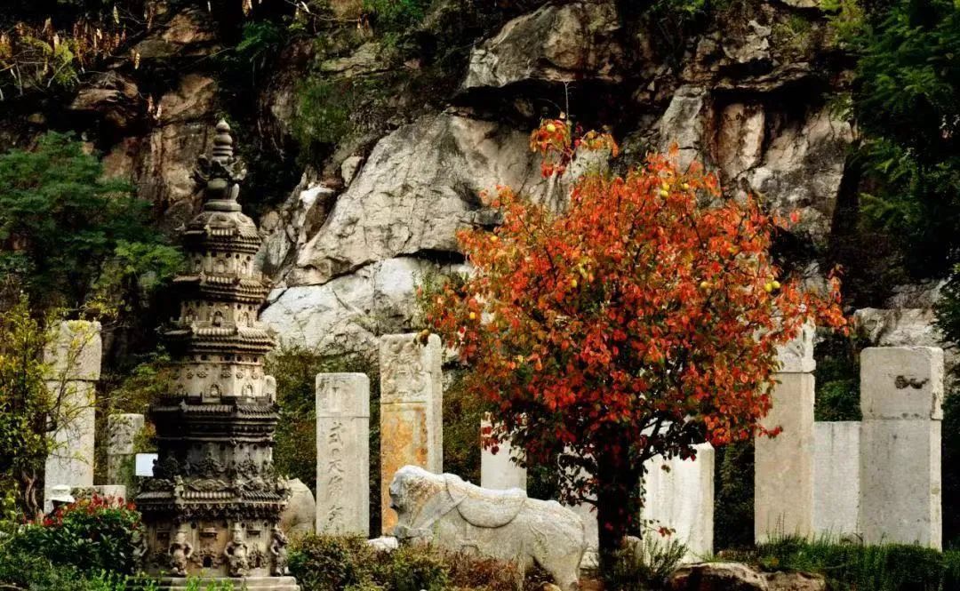 徐州春游野餐的好地方推荐,徐州最新春游推荐