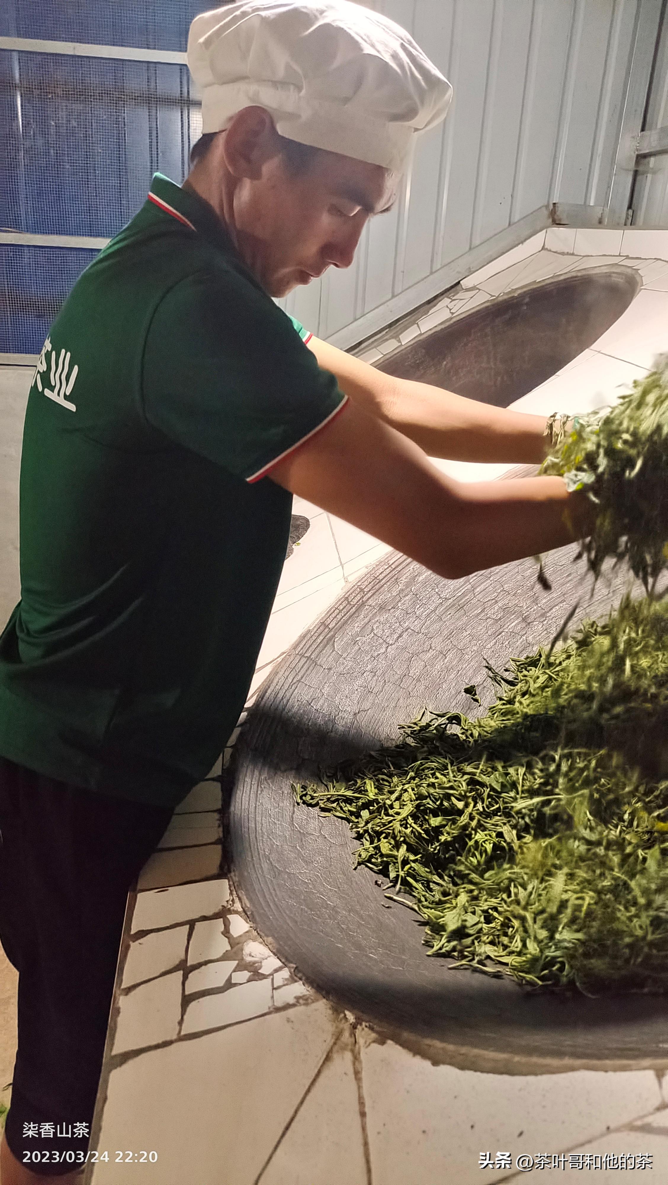 信不信由你这句话可信吗,从事茶叶这行业能学到什么