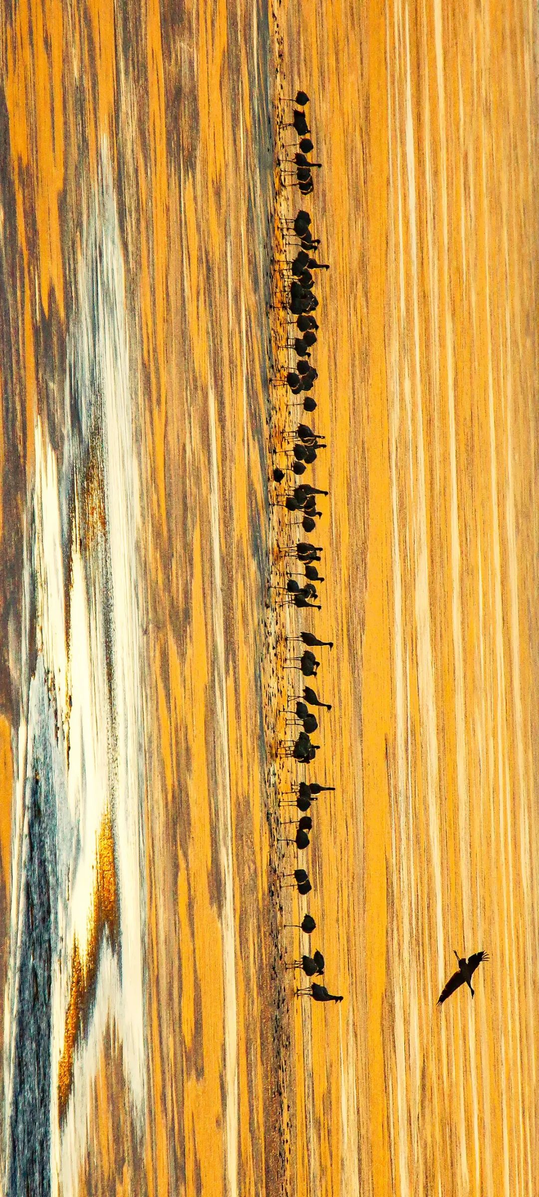 绿色狂想曲,绿色狂想曲三年级