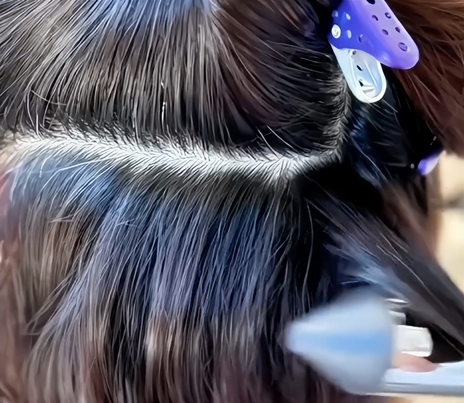 张蕾何时退出了舞台,张蕾离开央视有退休金吗