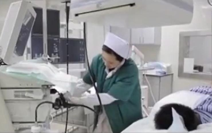 故事：湖北55岁男子病从口入，孕出成千上万虫卵，肚子竟成虫窝