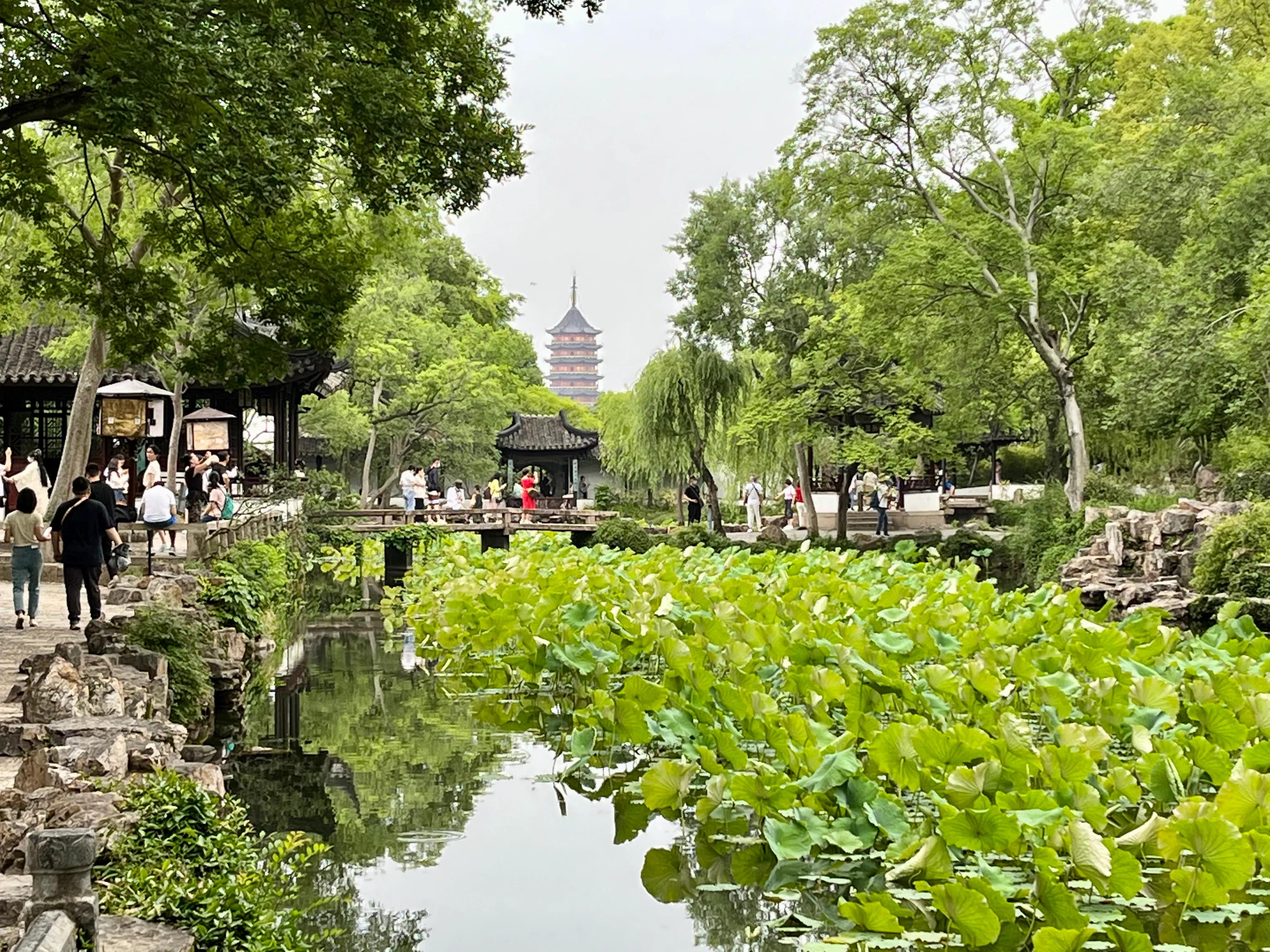 拙政园大隐隐于市,大隐隐于市安享中式庭院之美