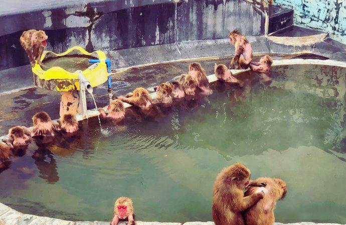 北海道函馆海鲜,北海道便宜海鲜市场