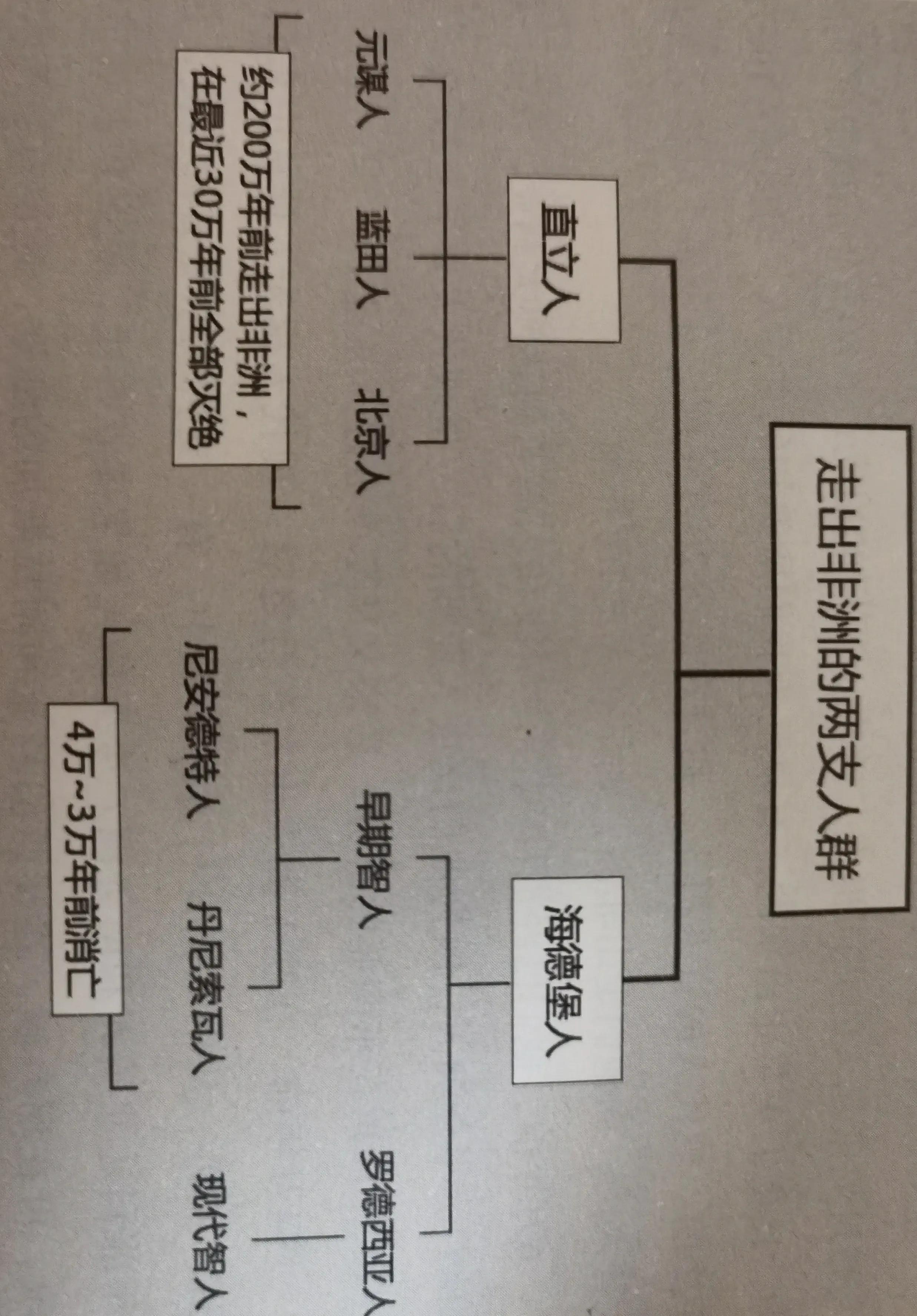 元谋人蓝田人和北京人,元谋人和蓝田人最后活下来了吗