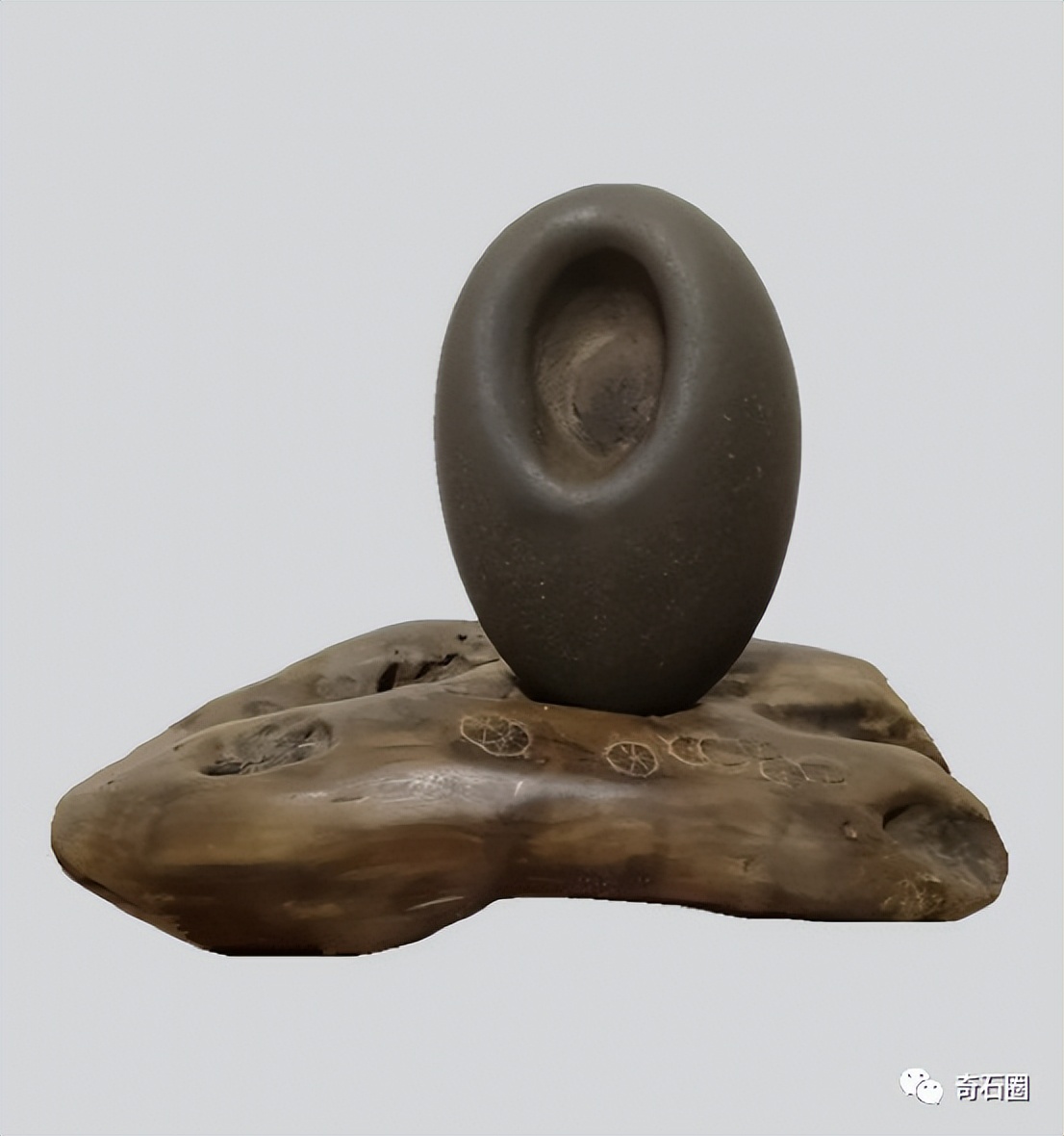 “带窝窝的石头”入围作品展播