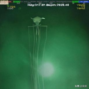 日军日记：半夜偷袭了村庄，为实施惩戒，我将*雷手**塞入女人*体下**中