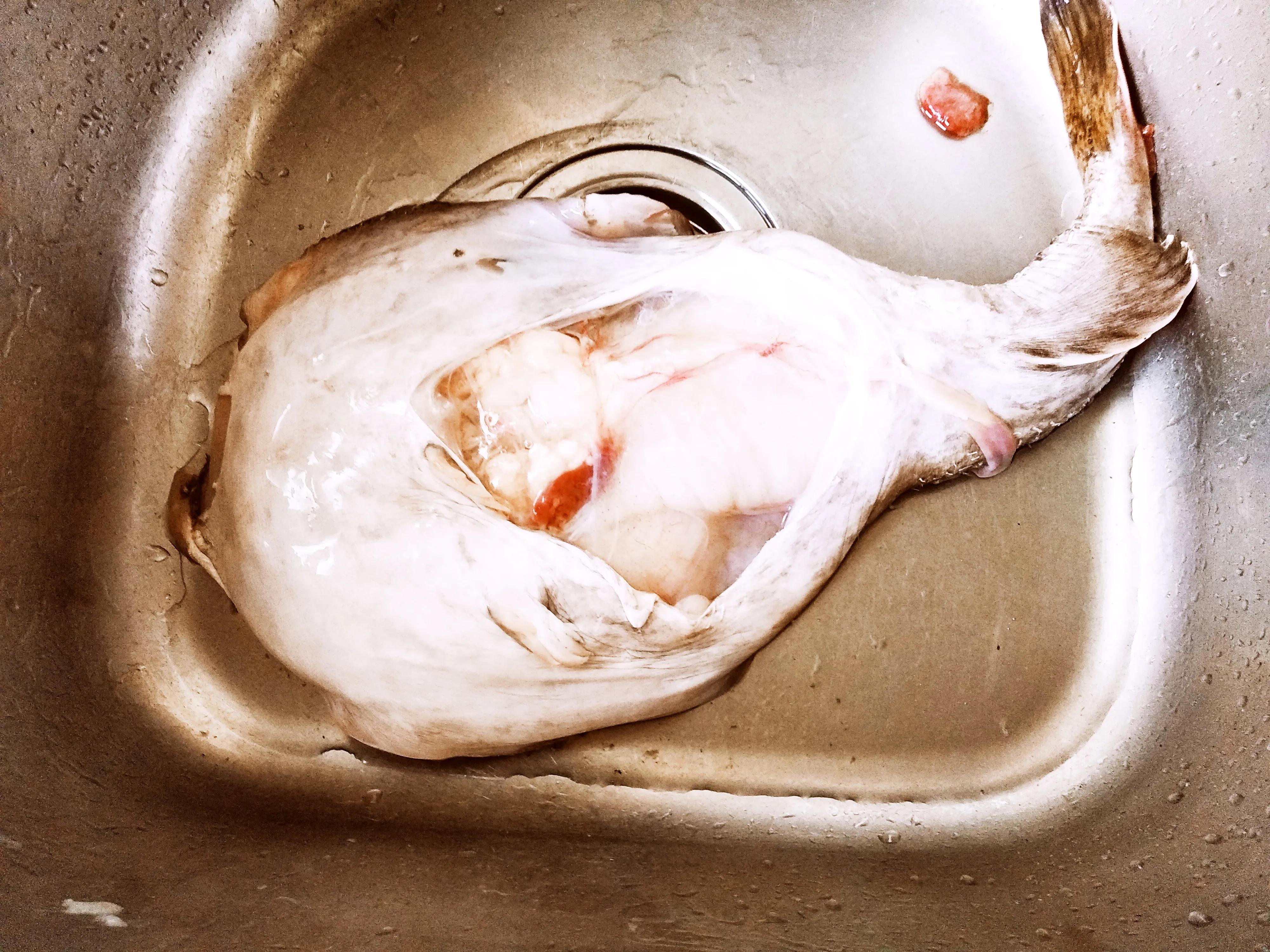 网上买海鲜好还是线上好,网上卖海鲜好不好