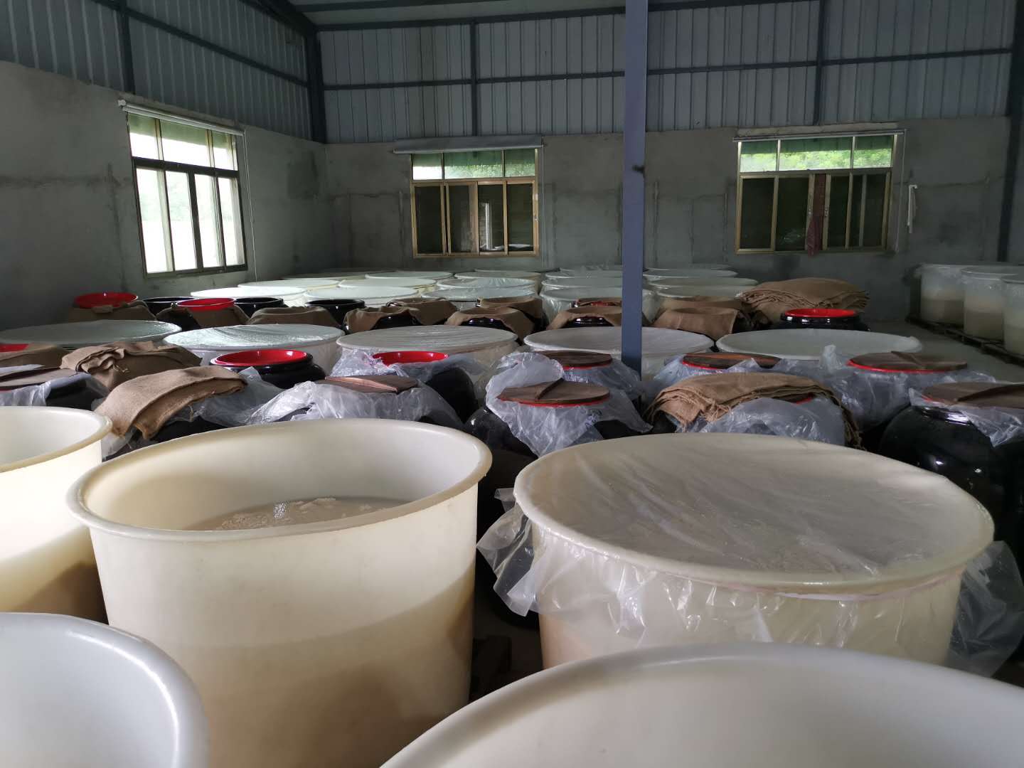 甜酒酿二次发酵成米酒注意事项,酿米酒的技术分享一下