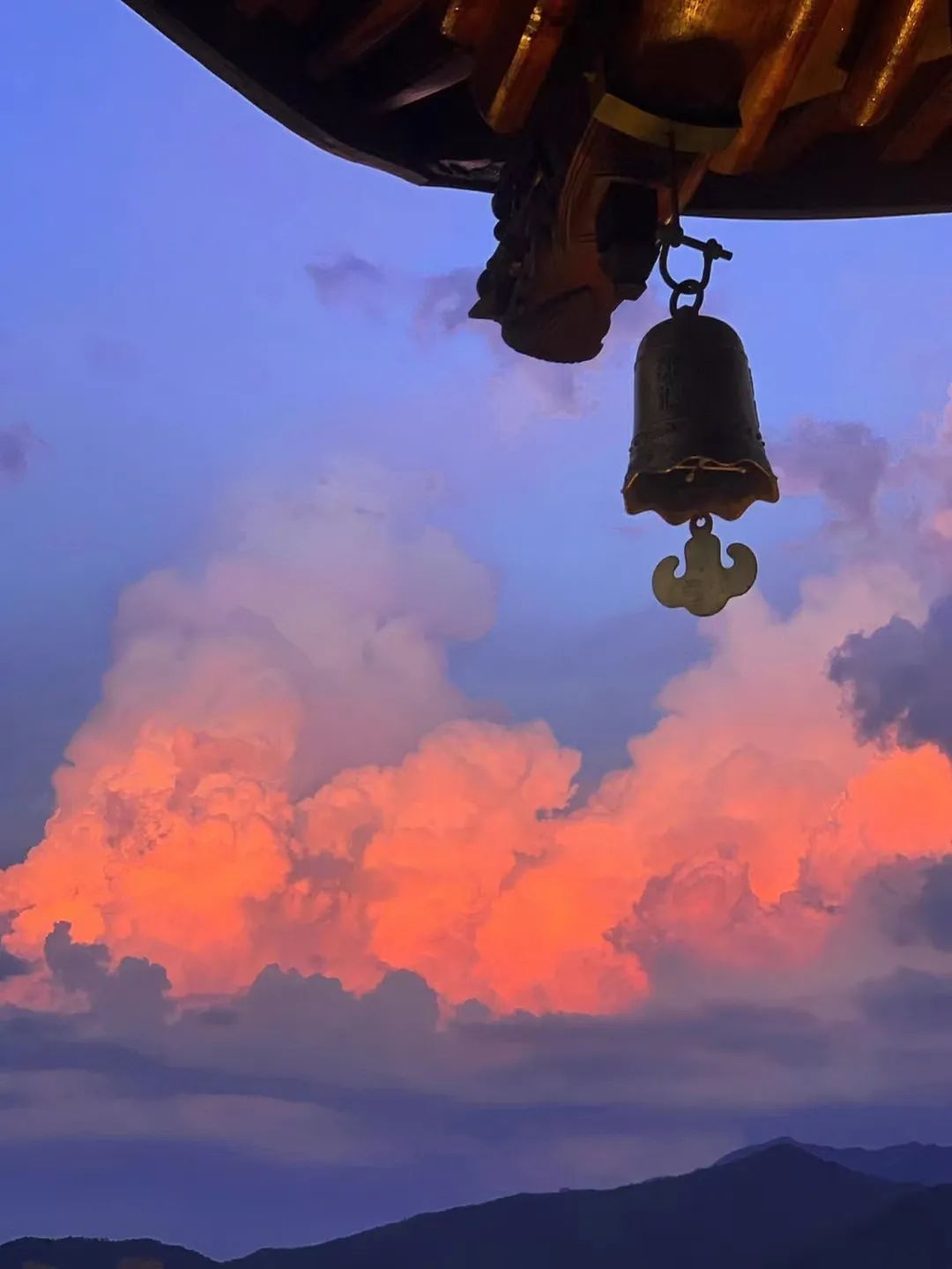 这座被赚钱耽误的浙江小县城，藏着无数吃货惦记的世界美食
