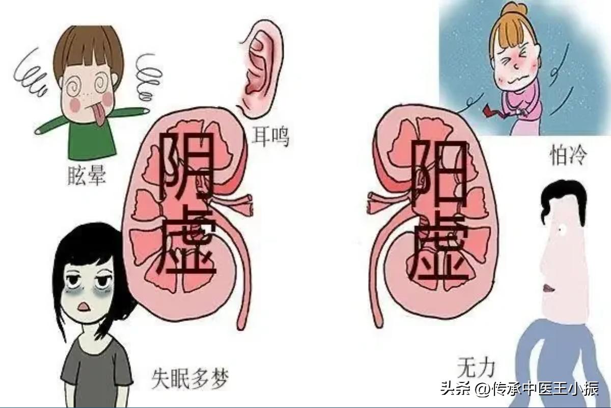 怕冷怕热是阴虚还是阳虚吃什么药,阴虚怕热阳虚怕冷没那么简单