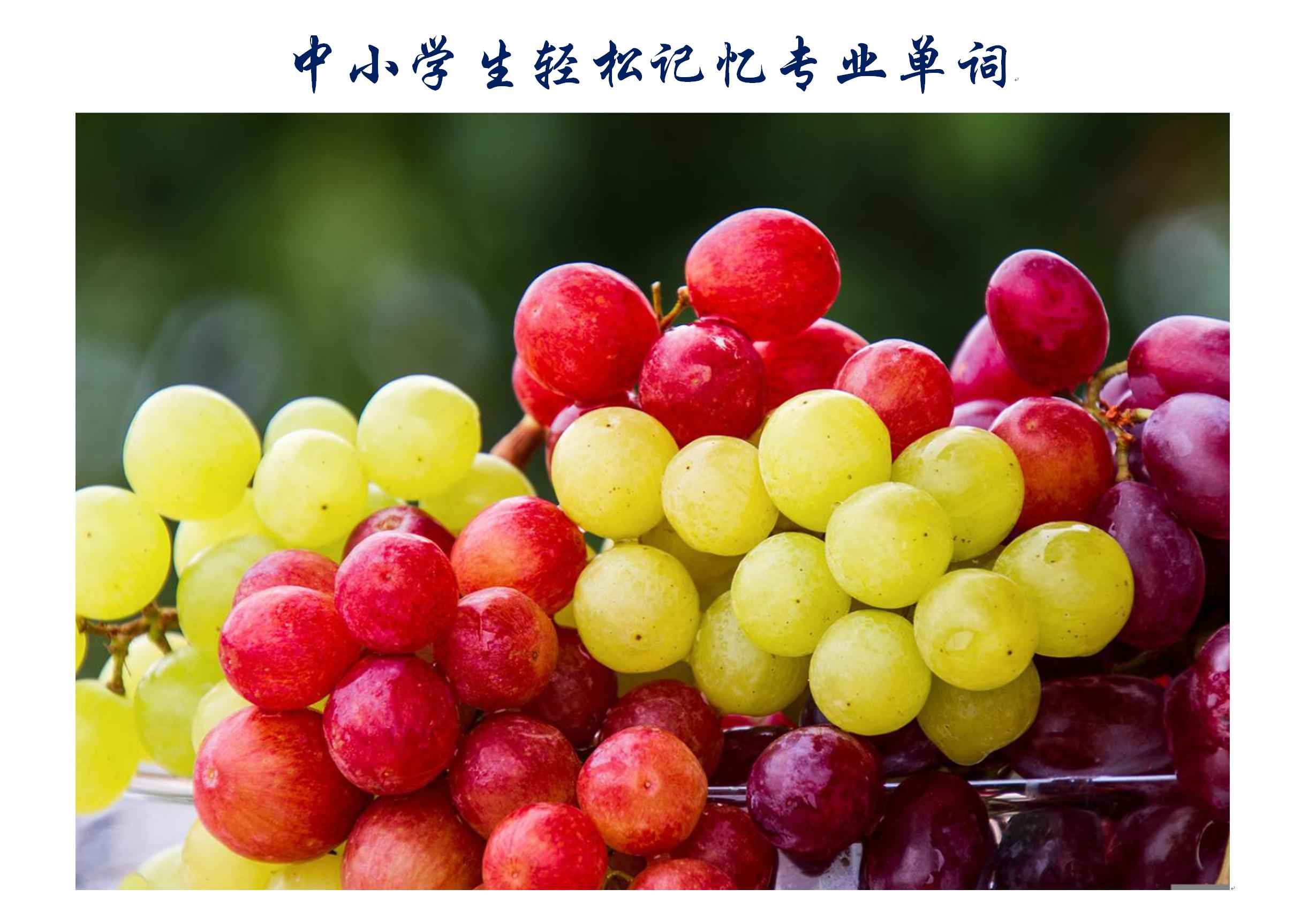 英语一周七天单词快速记忆,中小学生单词速记