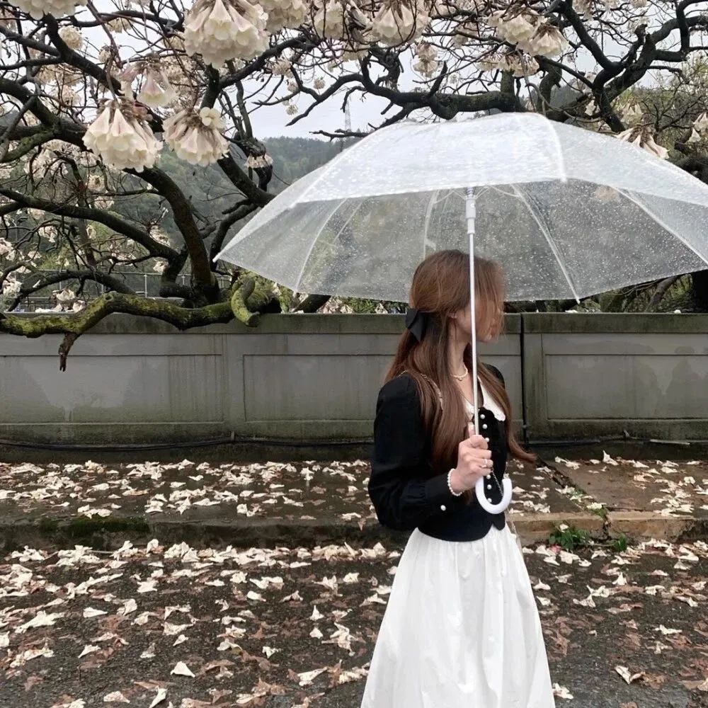 餐厅氛围感背景图,纯粉背景图氛围感