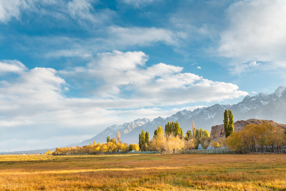 夜尿频繁有什么偏方,夜尿多肾虚中医为您来支招