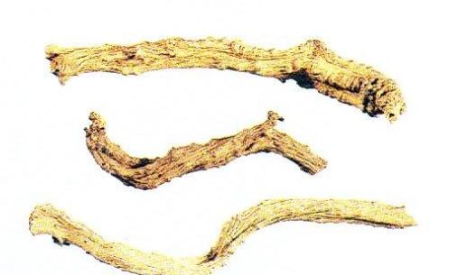 怎样识别人参的质量,人参怎么识别年份