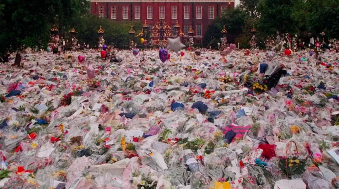 她死在亿万婚姻中