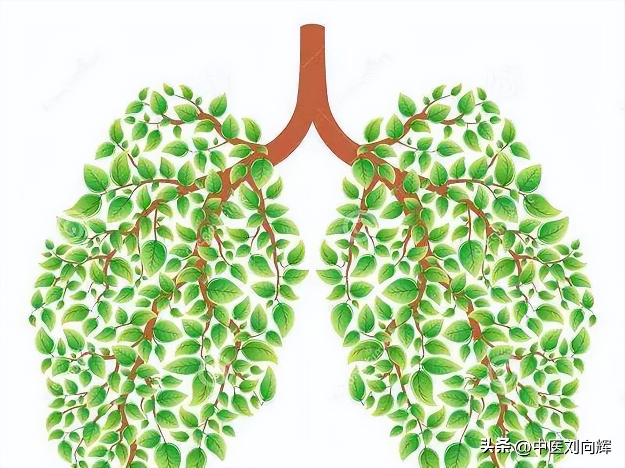 糖尿病心肝脾肺肾怎么调理,糖尿病肾脾肺方子