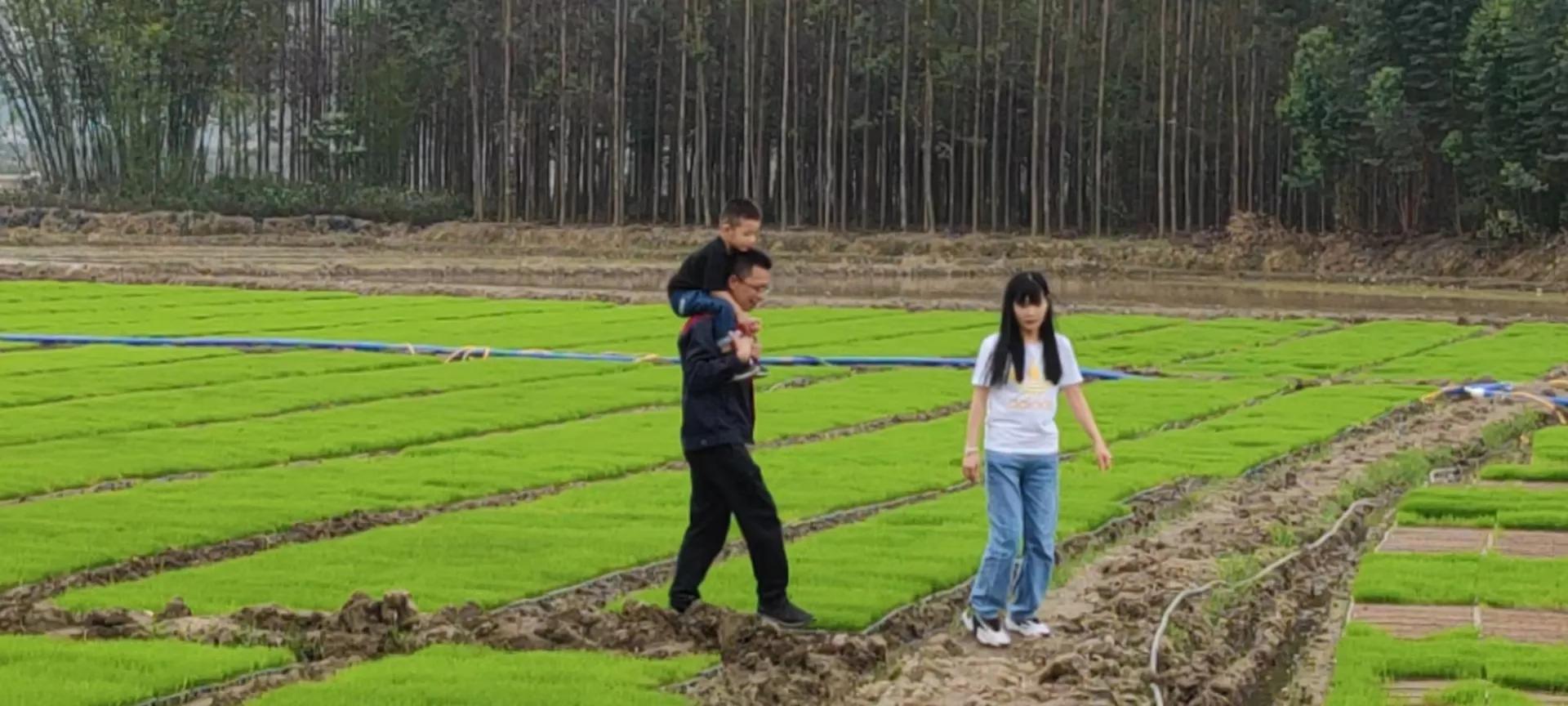 农联助力乡村振兴,联农助农乡村振兴