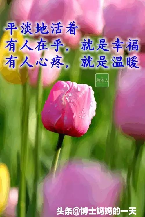 顺其自然简简单单平平淡淡,简简单单平平淡淡愿一切安好