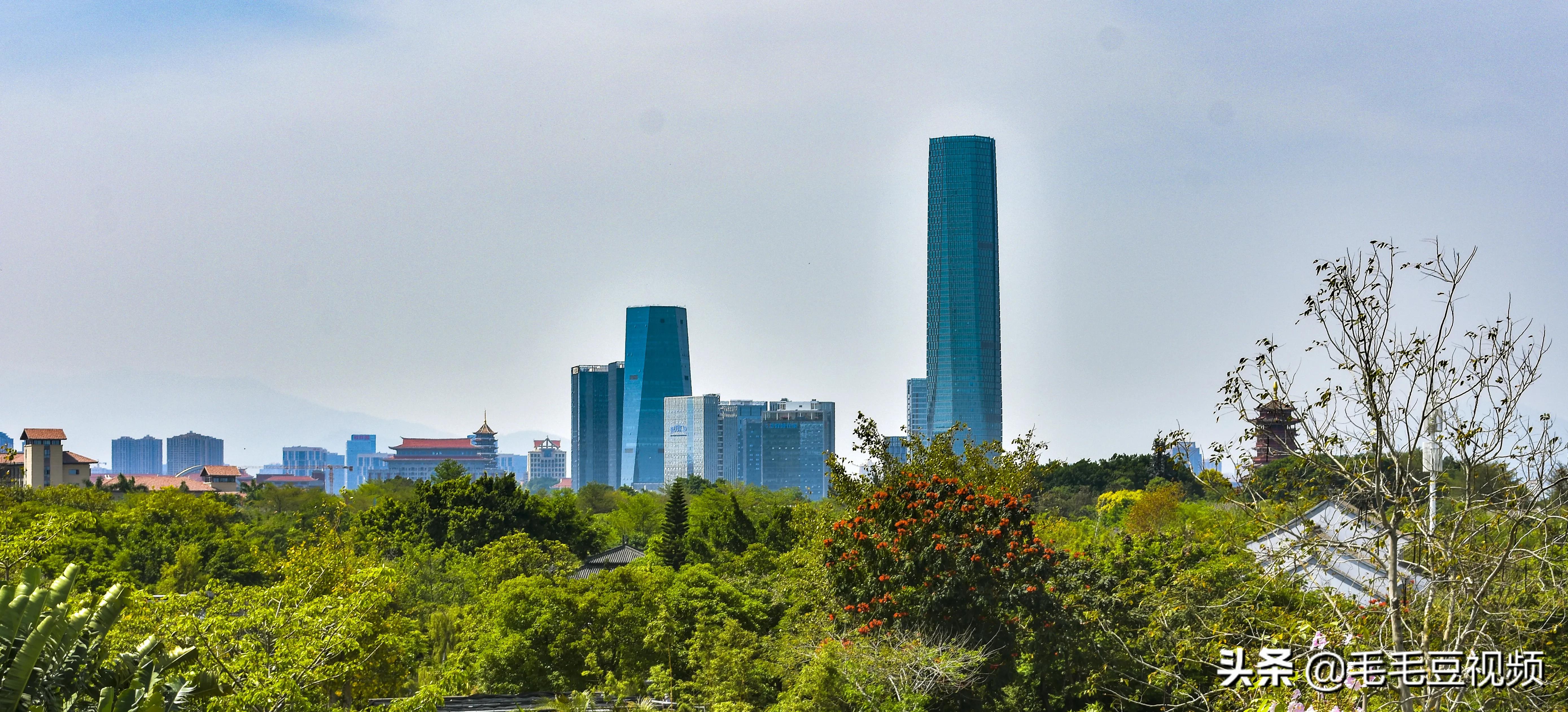 厦门适合初次约会的景点,厦门约会免费景点攻略图