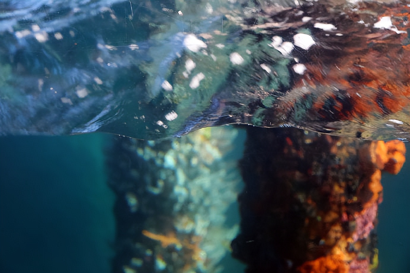 澳大利亚珀斯旅游攻略,旅游澳大利亚悉尼