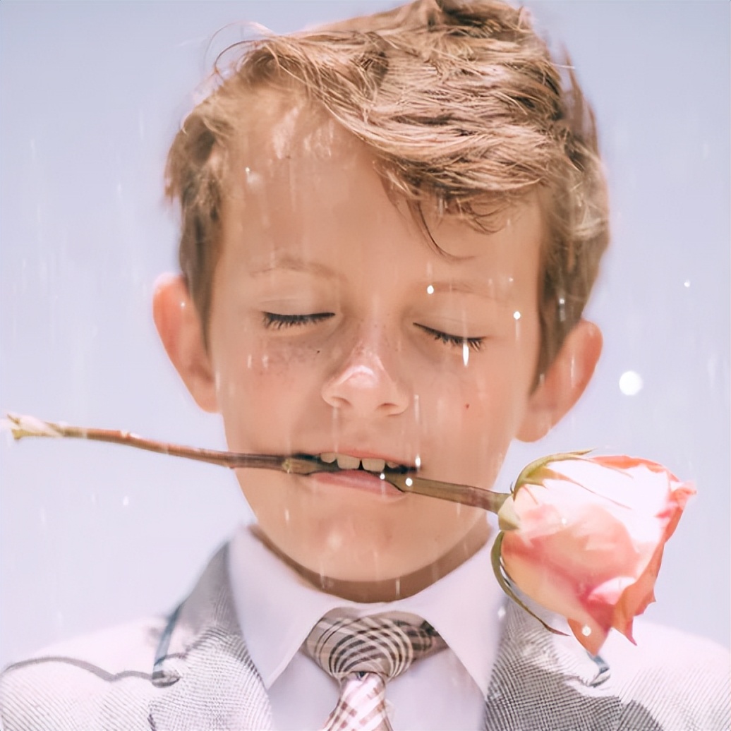 新加坡房租为什么那么贵,明年新加坡房租还会涨吗