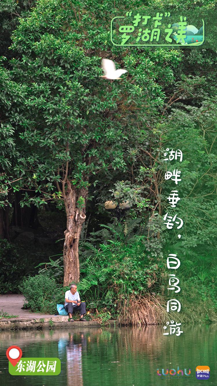 罗湖游玩景点打卡攻略,罗湖小众打卡景点推荐