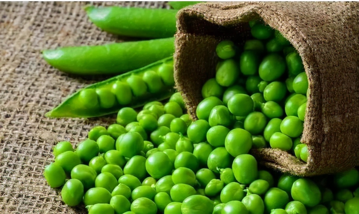 长期吃豌豆凉粉有哪些好处,豌豆可以打豆浆吗吃了有什么好处