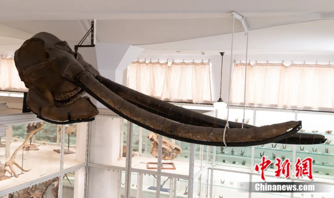 天津是不是一生都要去一次,在天津总要去趟天津之眼吧